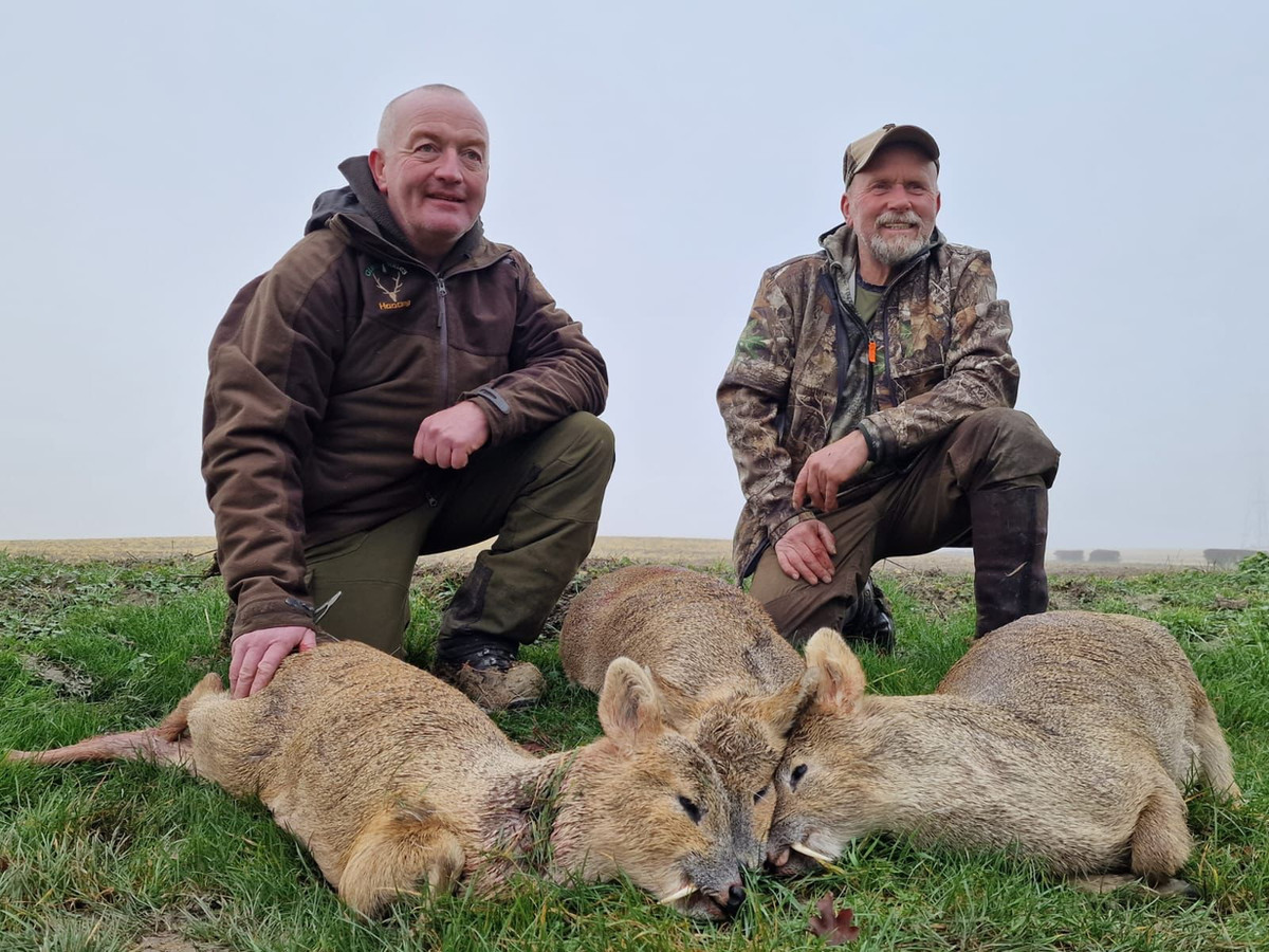 Irish Game Outfitters Glacial Valley Hunting