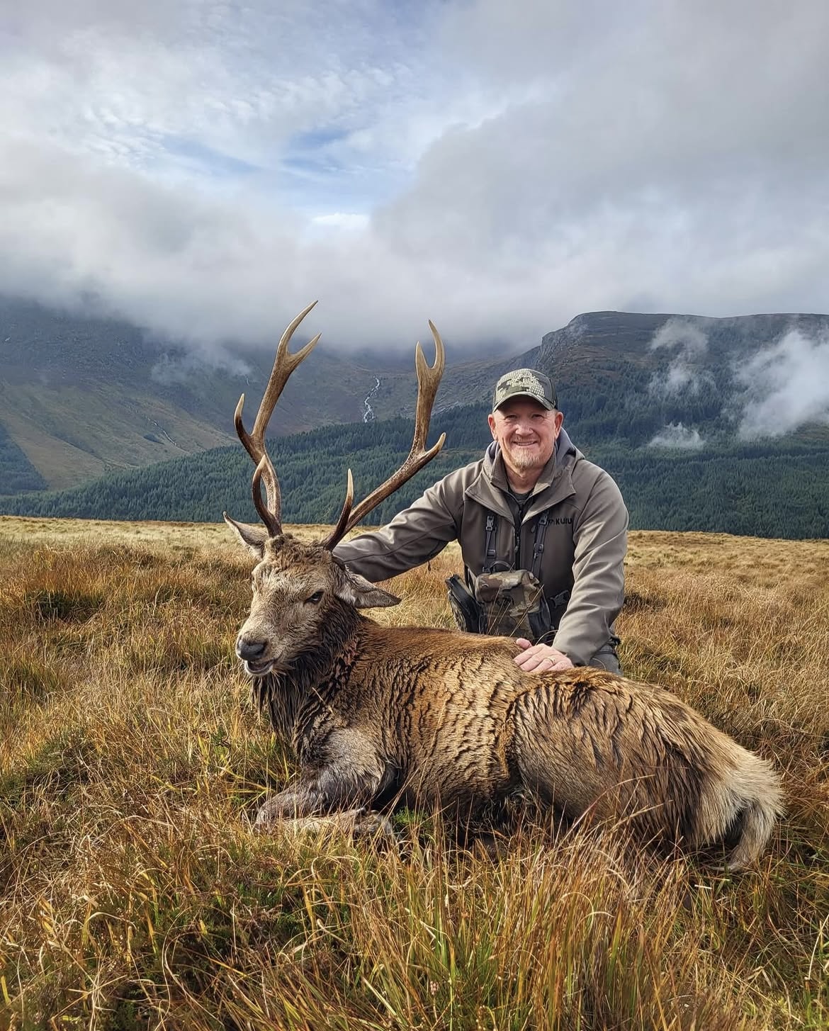 Red-sika hybrid stag on the Wicklow ridgeline