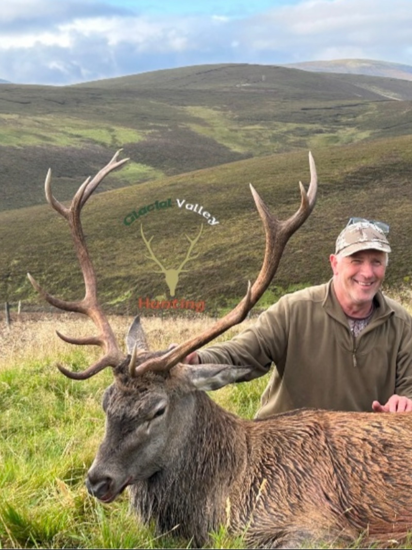 Red deer, Glenmalure