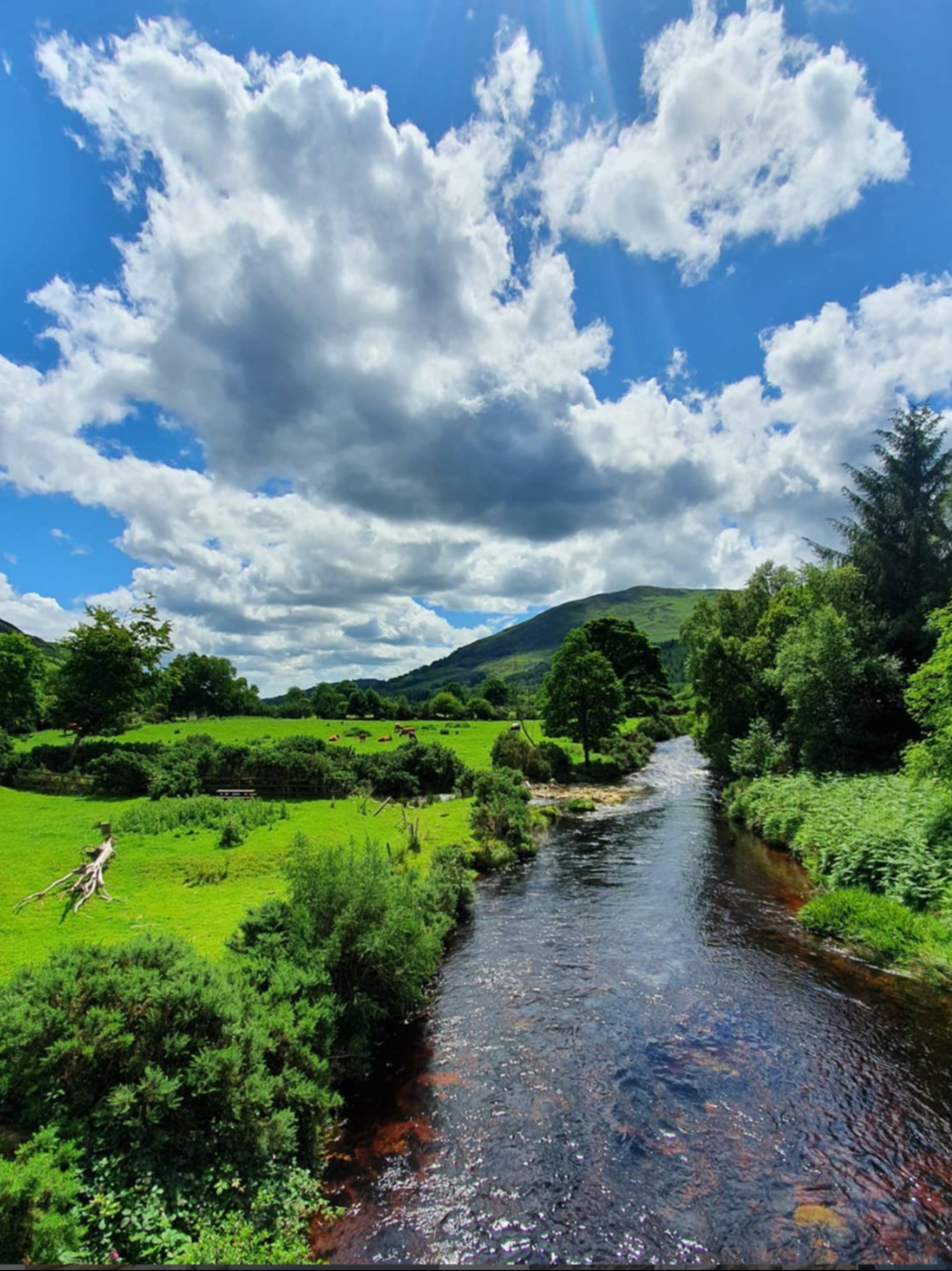 The Glenmalure valley grounds